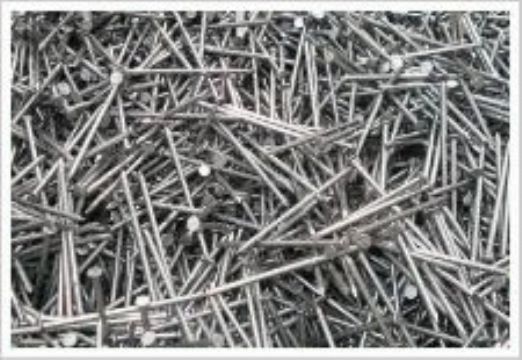 Common Wire Nail